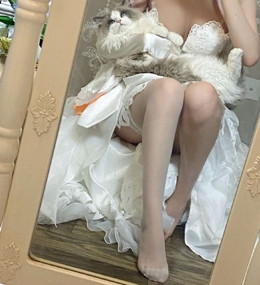 最强女婿免费观看完整版电影高清
